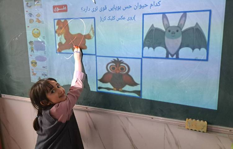 ماجراجوی دانا 1