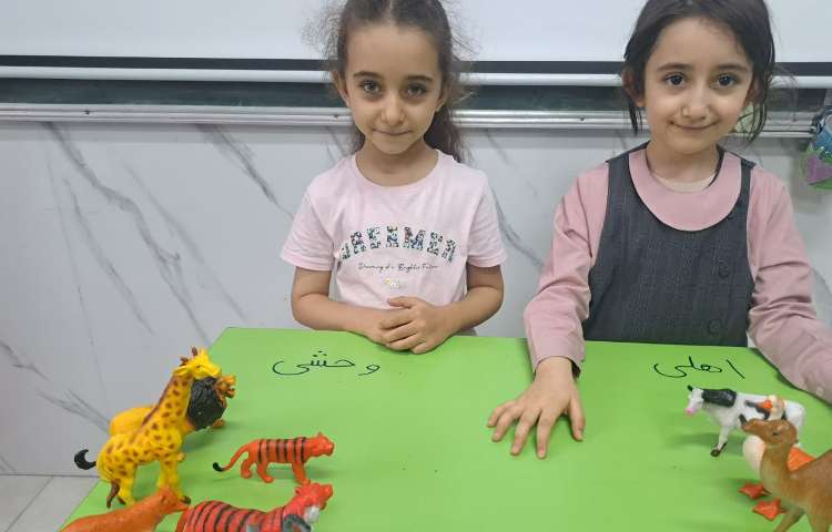 ماجراجوی دانا 1