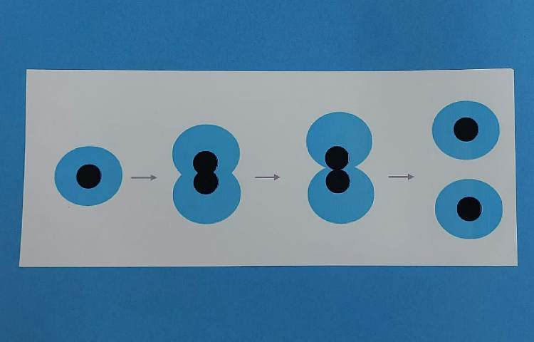 ماجراجوی دانا 2