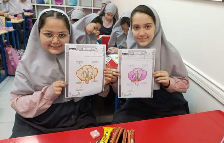 ماجراجوی دانا 2