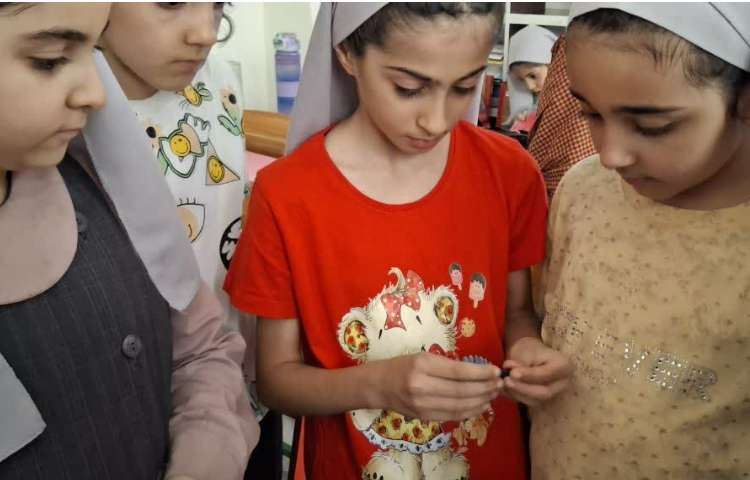 ماجراجوی دانا 2