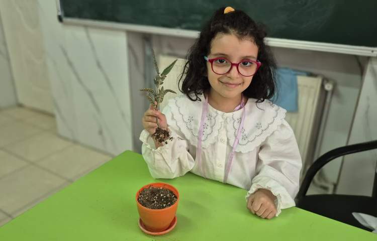 ماجراجوی دانا 2