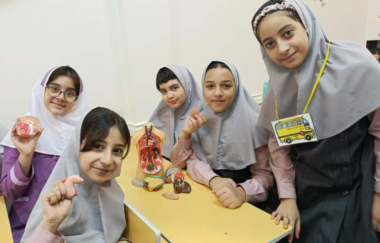 ماجراجوی دانا 3