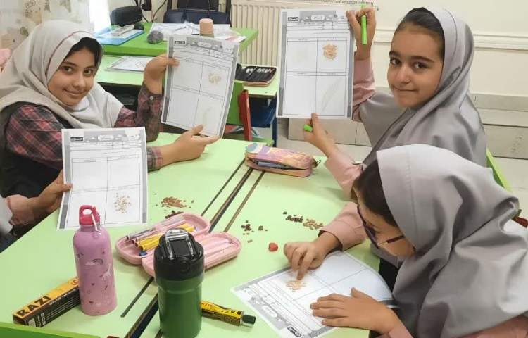 ماجراجوی دانا 3