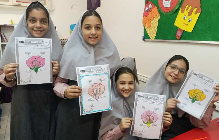 ماجراجوی دانا 3