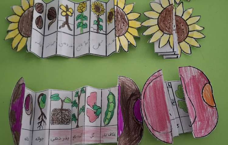 ماجراجوی دانا 3