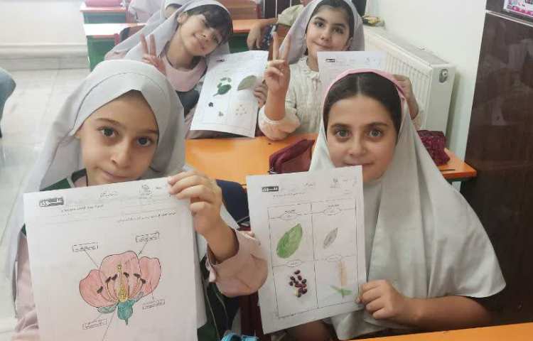 ماجراجوی دانا 3