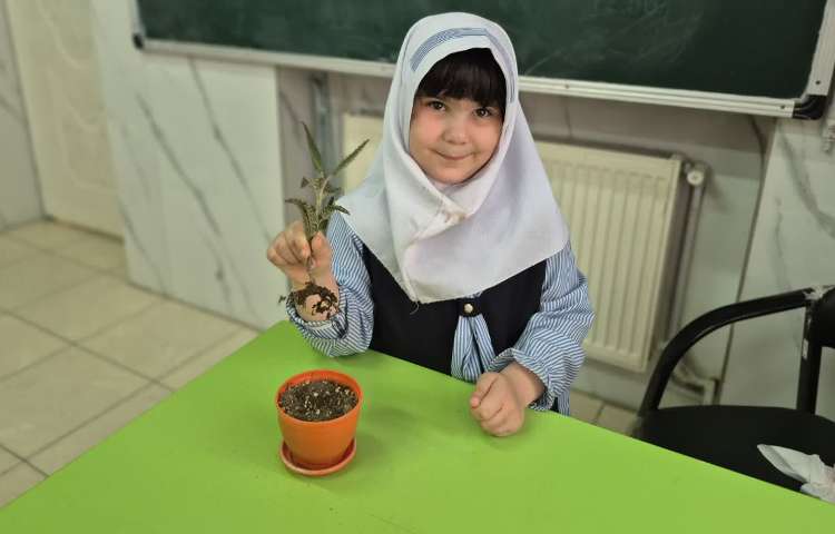 ماجراجوی دانا 3