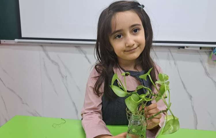ماجراجوی دانا 3