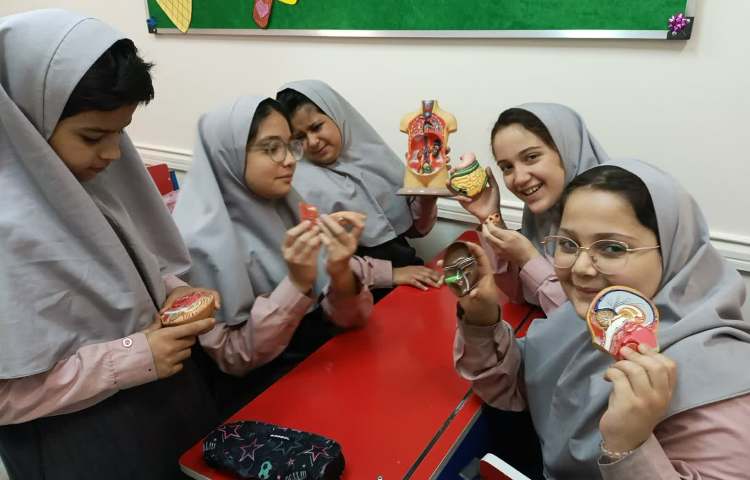 ماجراجوی دانا 4