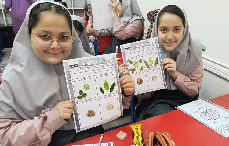 ماجراجوی دانا 4