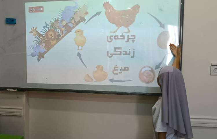 ماجراجوی دانا 4