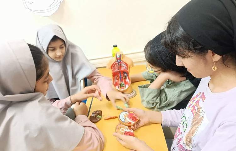 ماجراجوی دانا 5