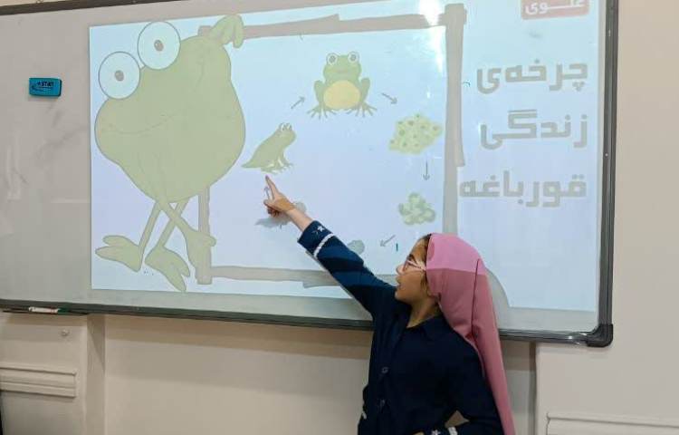 ماجراجوی دانا 5