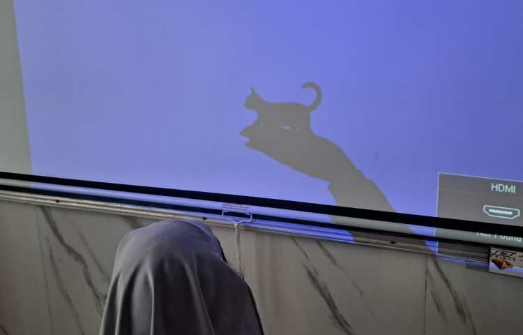 ماجراجوی دانا 5