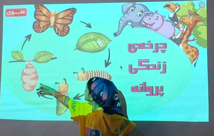 ماجراجوی دانا 6
