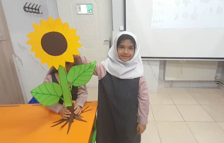 ماجراجوی دانا