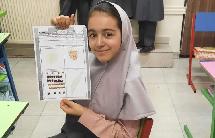 ماجراجوی دانا