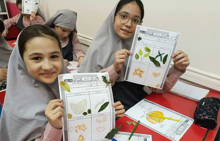 ماجراجوی دانا