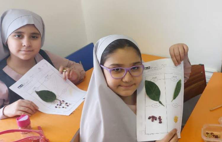 ماجراجوی دانا