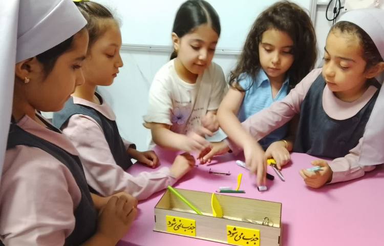 ماجراجوی دانا