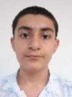 ماهان میرزایی فر
