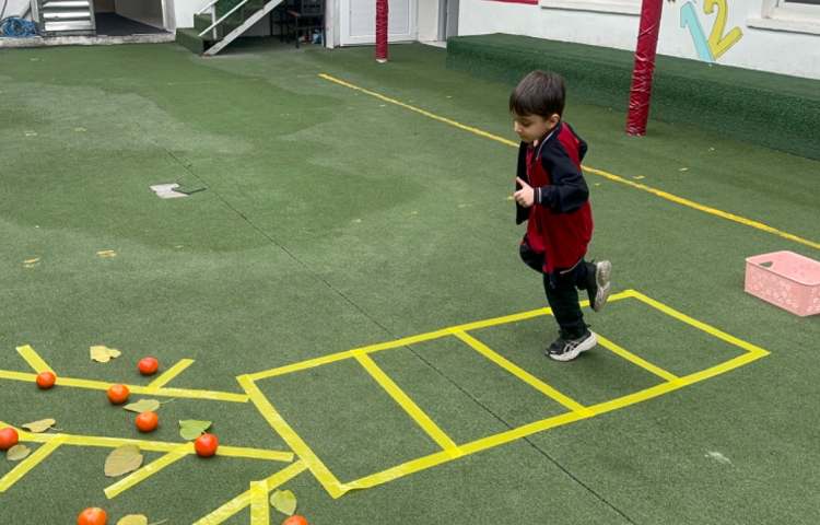 ماهرشو:درخت نارنگی 1