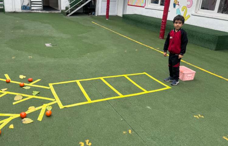 ماهرشو:درخت نارنگی 4