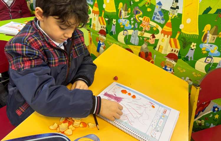 ماهرشو:درخت نارنگی 6