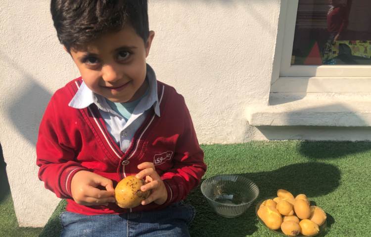 ماهرشو:درست کردن سمبوسه 5