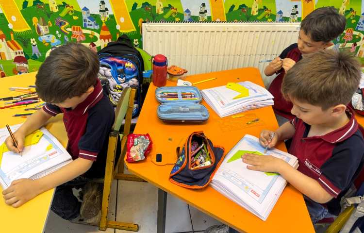 ماهرشو: اوریگامی نهنگ