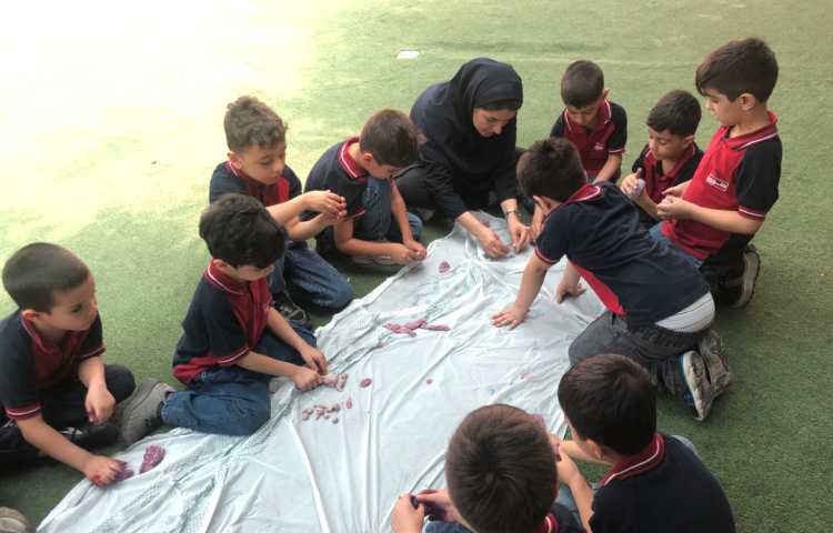 ماهرشو: ترکیب رنگ بنفش در خمیر و روی کاربرگ