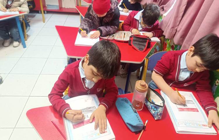 ماهرشو (رنگ آمیزی پرچم مصر) 1