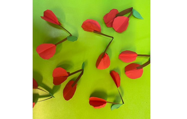 ماهرشو: کاردستی آلبالو 1