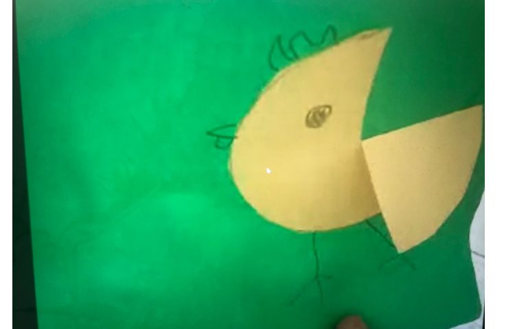 ماهرشو: کاردستی حیوانات 1