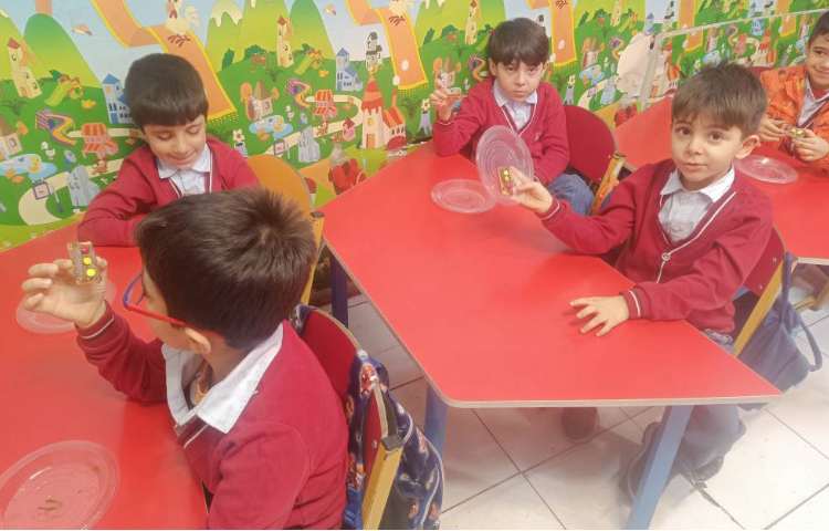 ماهر شو (به کمک بیسکوئیت چراغ راهنمایی و رانندگی درست کردیم) 6