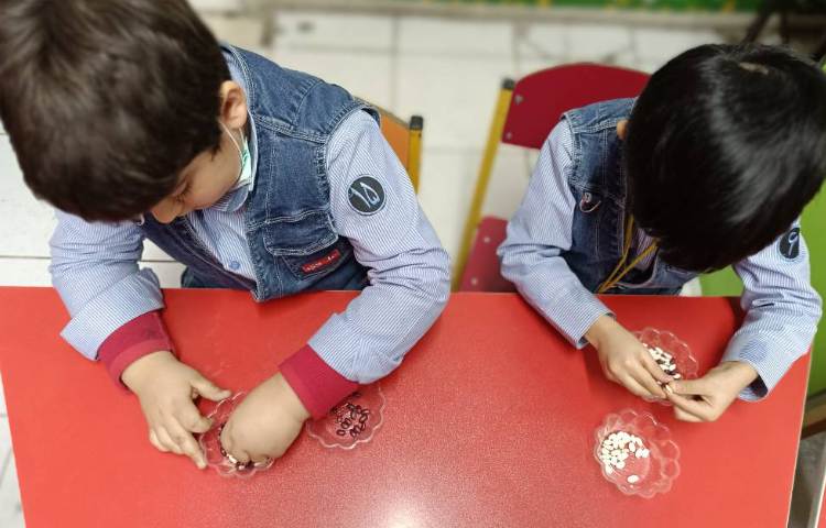 ماهر شو (مسابقه‌ی جداسازی حبوبات) 1