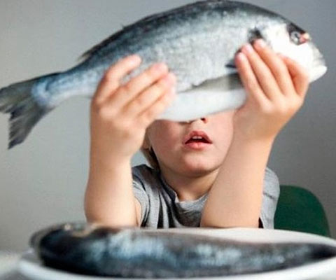 چرا باید ماهی بخوریم؟