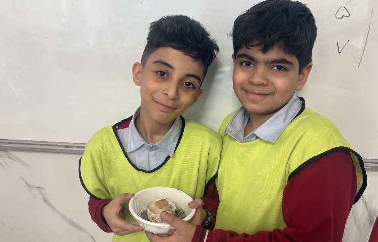 مبحث تصفیه آب