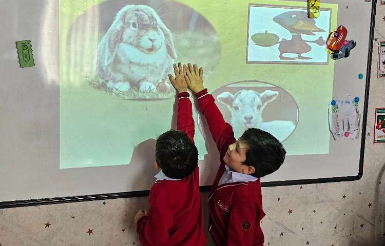 مبحث حیوانات اهلی تشخیص حیوانات همراه با بازی 2