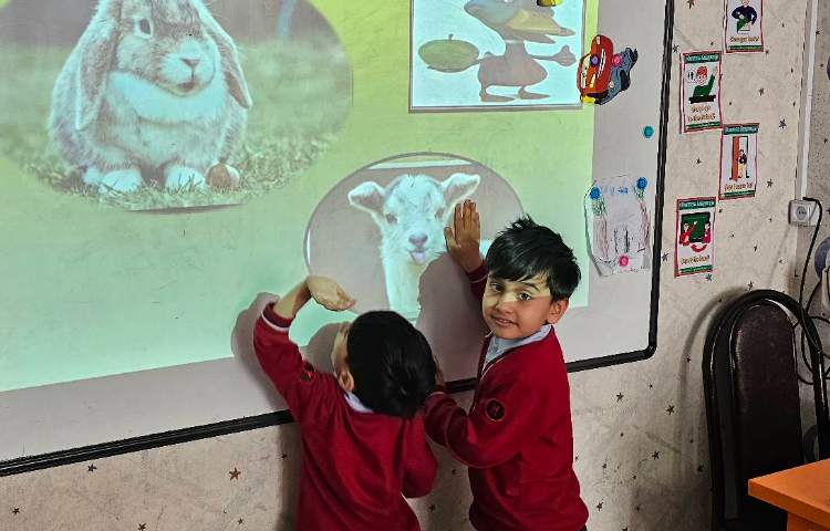 مبحث حیوانات اهلی تشخیص حیوانات همراه با بازی 5