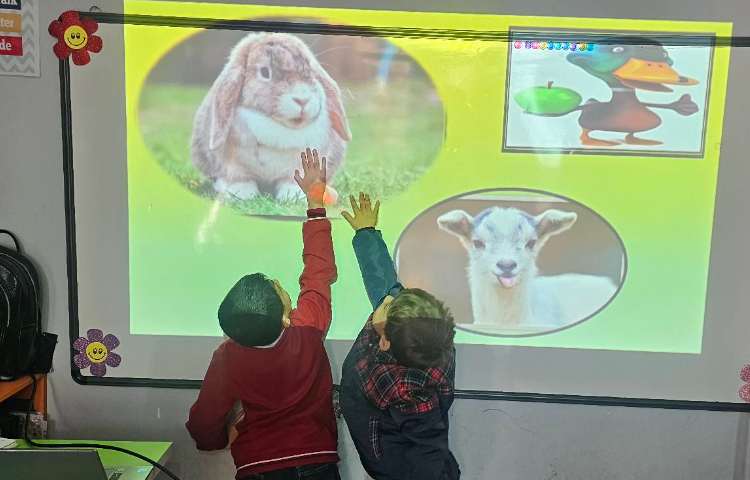 مبحث حیوانات اهلی تشخیص حیوانات همراه با بازی 7