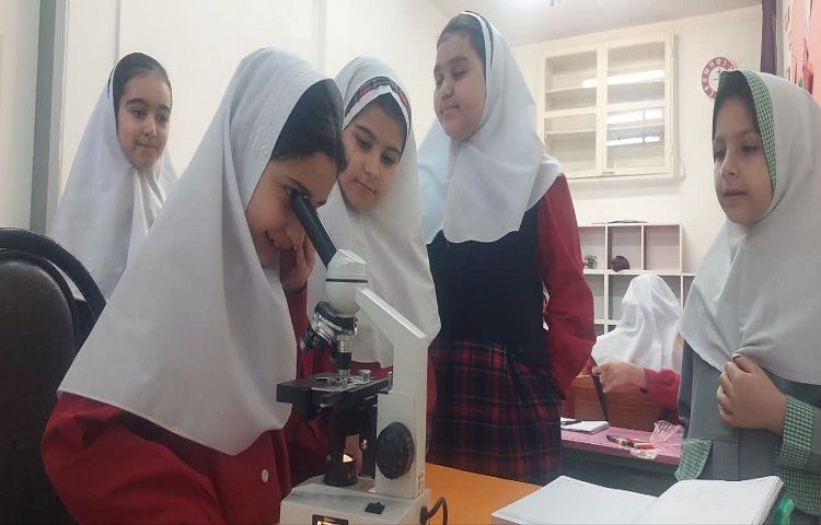 مبحث سلول و سفر به سرزمین هزاران روز 1