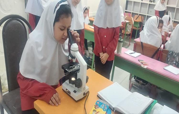 مبحث سلول و سفر به سرزمین هزاران روز 5