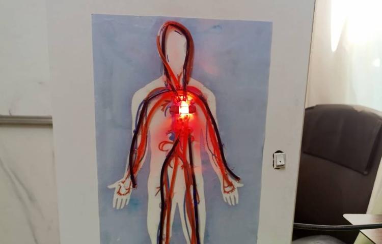 مبحث قلب و شش‌ها در زنگ Science 2