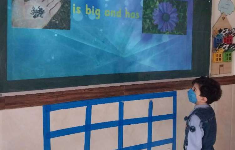 مبحث مراحل رشد یک گیاه 4