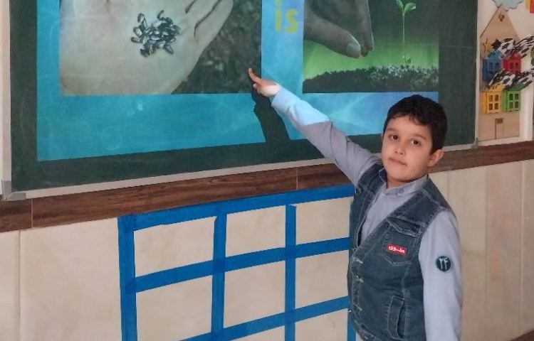 مبحث مراحل رشد یک گیاه 5