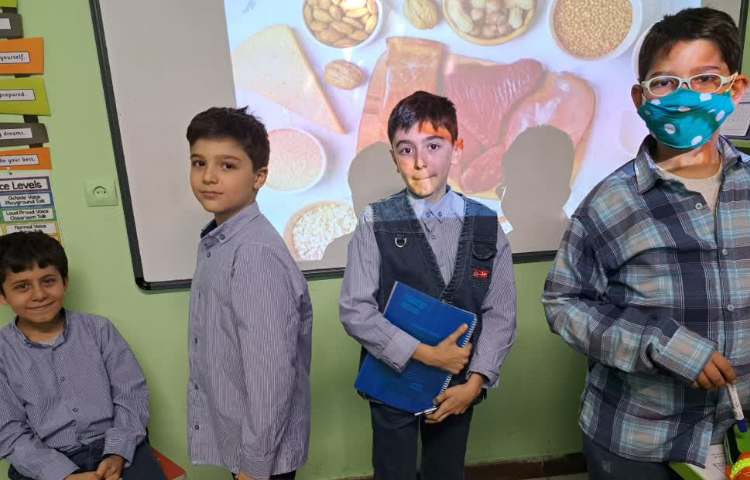 مبحث پروتئین 3