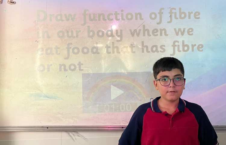 مبحث fibre 2