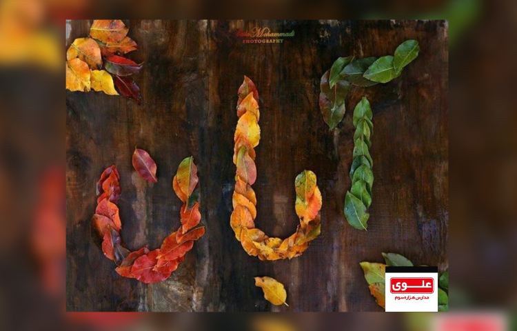 متولدین آبان ماه